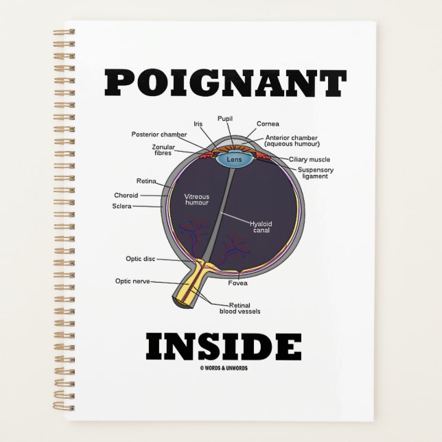 Agenda Olho Poignante (I) Olho Anatômico Dentro (Frente)