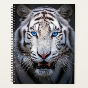 Agenda Olhos Azuis Brancos