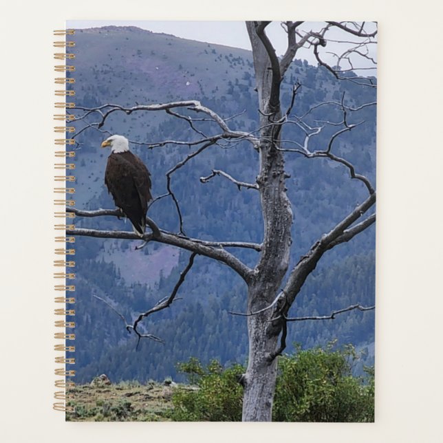 Agenda On Watch Planner (Frente)