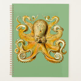 Agenda Orador Espiral Azul e Octopus Dourado