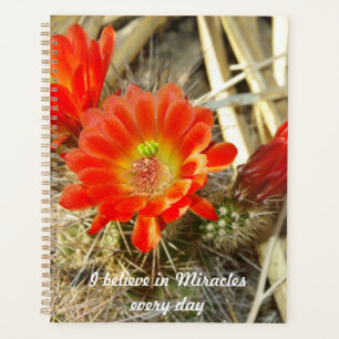 Agenda Orange Cactus Flower, o Milagre do Novo México