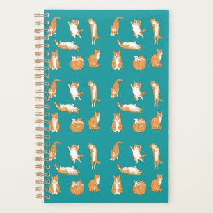 Agenda Orange Cats Engraçado