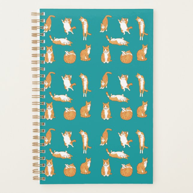 Agenda Orange Cats Engraçado (Frente)