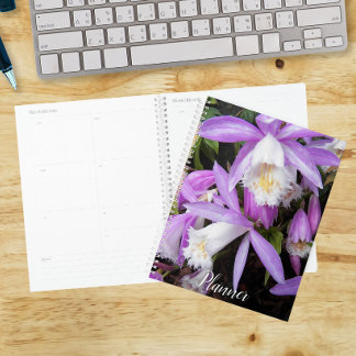 Agenda Orquídeas Florais Pleione de Peitoril