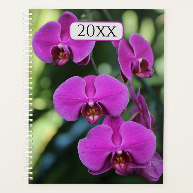 Agenda Orquídeas Roxas bonito - Ano Falso (Frente)