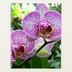 Agenda Orquídeas Roxas De Planner Lg