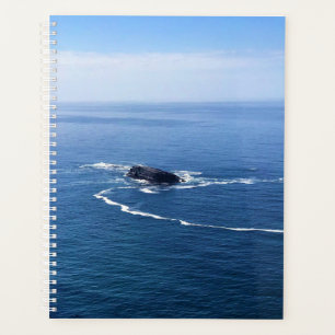 Agenda Otter Rock, Cape Foulweather, Newport, Oregon