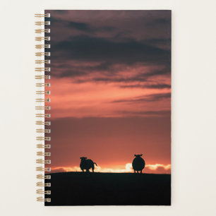 Agenda Ovelha