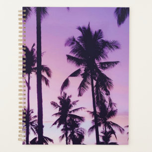 Agenda Padrão da palmeira