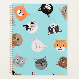 Agenda Padrão de Cat