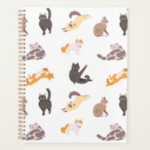 Agenda Padrão de Cat