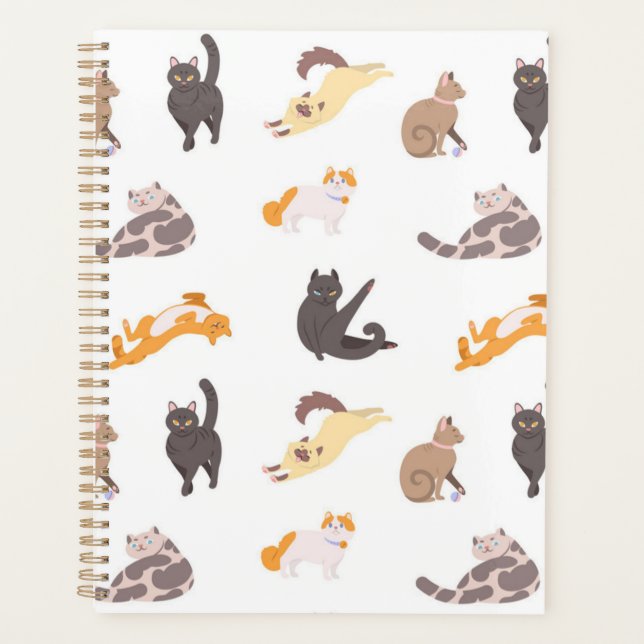 Agenda Padrão de Cat (Frente)