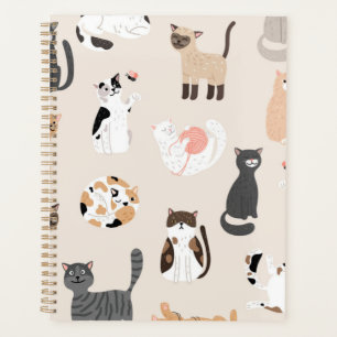 Agenda Padrão de Cat