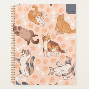 Agenda Padrão de Cat