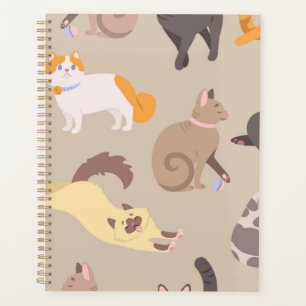 Agenda Padrão de Cat