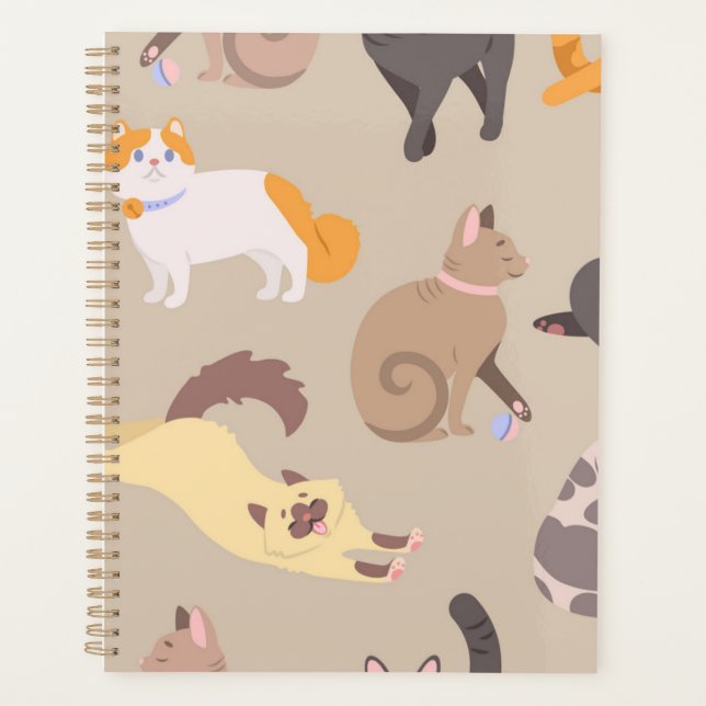 Agenda Padrão de Cat (Frente)
