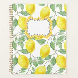 Agenda Padrão de Citrus