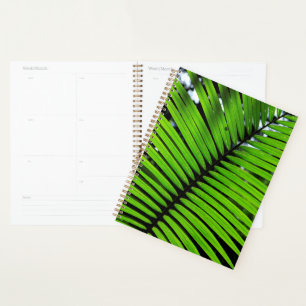 Agenda Padrão De Folhas De Samambaia