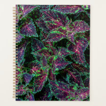 Padrão de Folhas Vibrantes de Coleus.