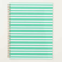 Agenda Padrão de Listras Brancas Aquamarine