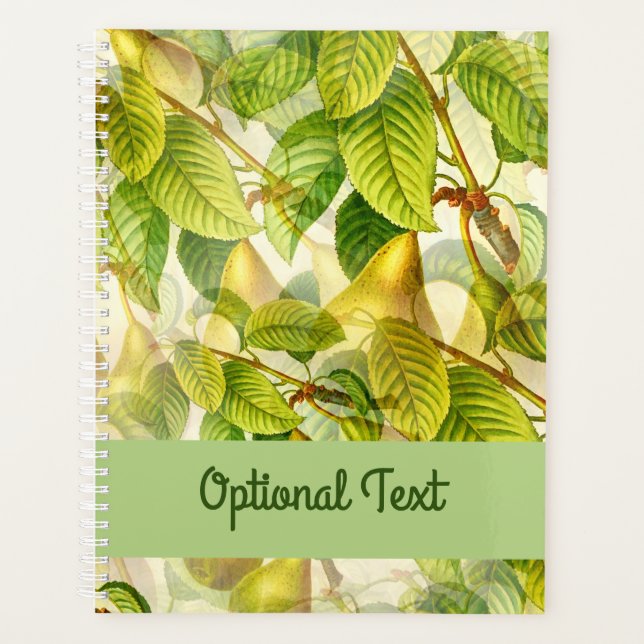 Agenda Padrão de Ramais e Peras de Árvore (Frente)