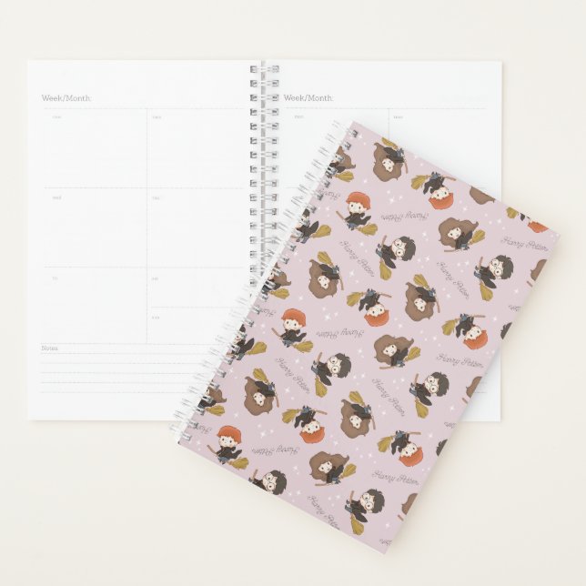 Agenda Padrão de Voo do HARRY POTTER™, Hermione e Ron (Exibição)