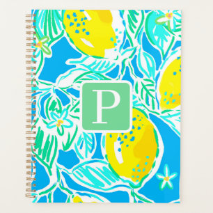 Agenda Padrão inicial de limão azul de pré-disquete
