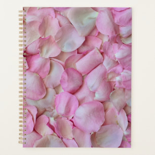Agenda Padrão Rosa Rosa Rosa Rosa Rosa Rosa Rosa