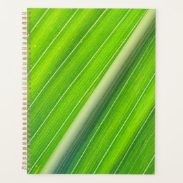 Agenda Padrão verde natural distribuído