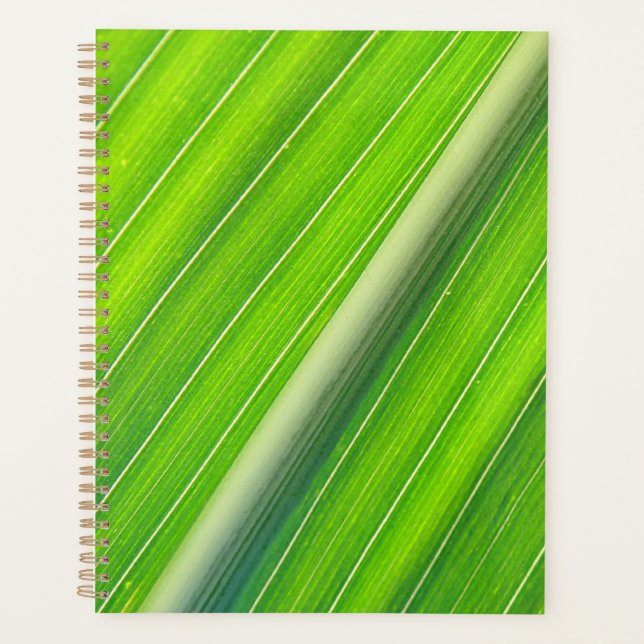 Agenda Padrão verde natural distribuído (Frente)