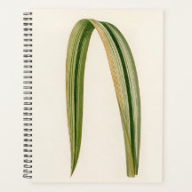 Pai Simples de Folha Botânica