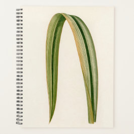 Agenda Pai Simples de Folha Botânica