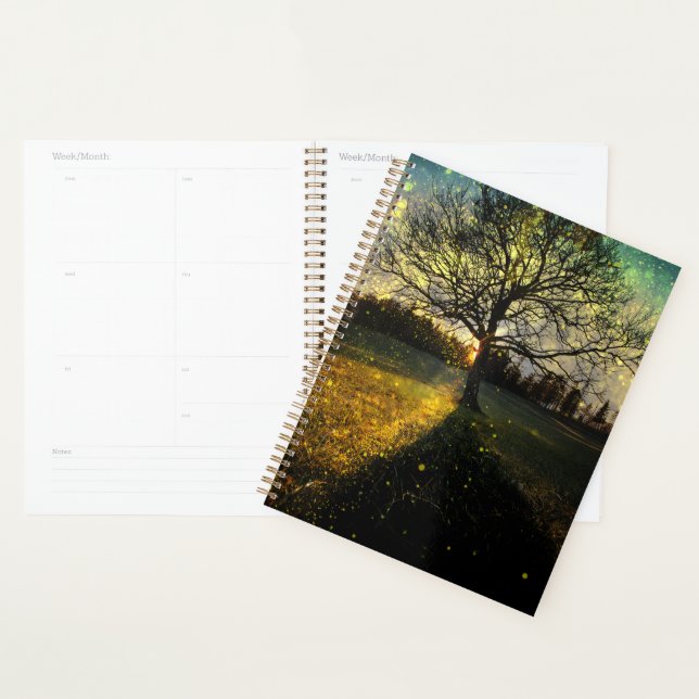 Agenda Paisagem com sonhos de vagalumes mágicos (Exibição)