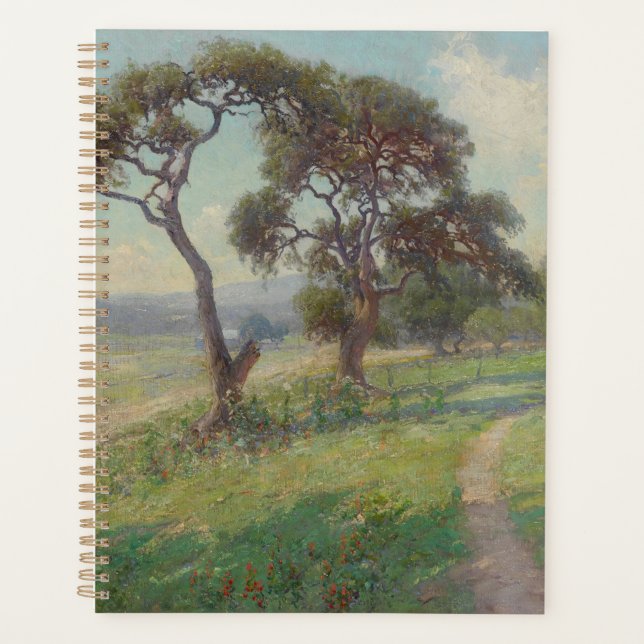 Agenda Paisagem do Texas Hill Country, Onderdonk (Frente)