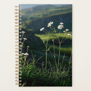 Agenda Paisagem Natural da Margarida Branca Floral