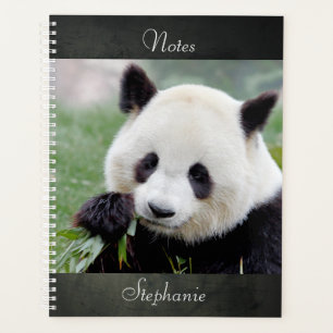 Agenda Panda gigante fotográfico do notebook, animais 01