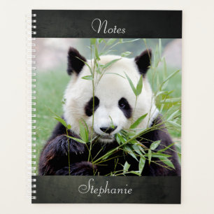 Agenda Panda gigante fotográfico do notebook, animais 04