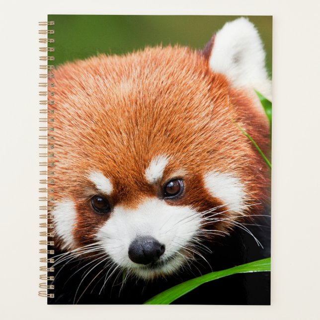 Agenda Panda Vermelho Fofo (Frente)
