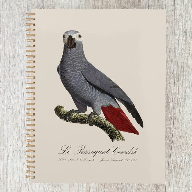 Agenda Papagaio cinzento africano, Psittacus erithacus, v (Le Perroquet Cendre - 19th century illustration. Planner)