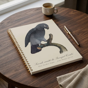 Agenda Papagaio-Cinzento-de-Timneh, Psittacus Timneh