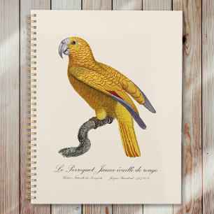 Agenda Papagaio do Paraíso de Cuba, Psittacus Paradisi