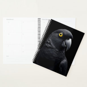 Agenda Papagaio Negro