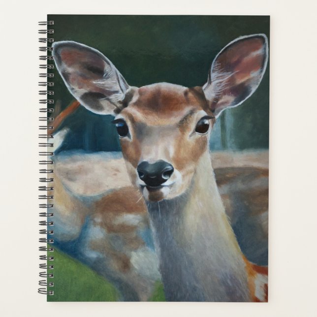 AGENDA PARCEIROS PARA A VIDA (Frente)