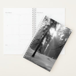 Agenda Parque Nacional da Neve de inverno em Kings Canyon