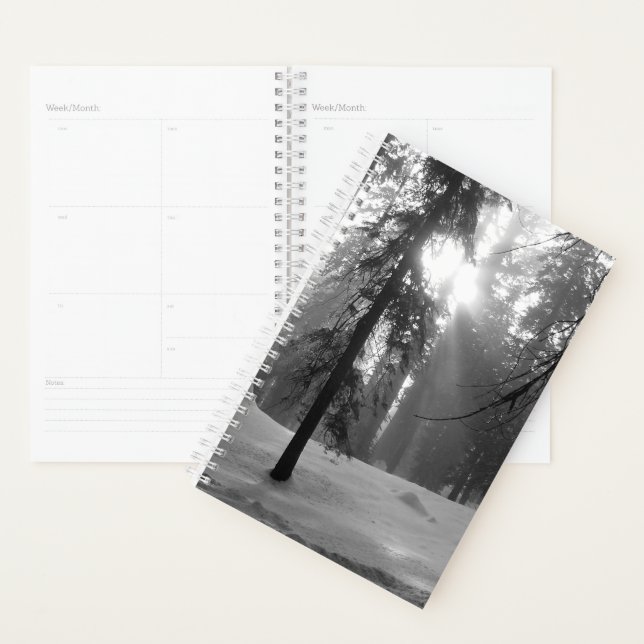 Agenda Parque Nacional da Neve de inverno em Kings Canyon (Exibição)