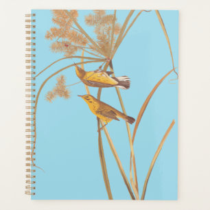 Agenda Pássaro Amarelo Audubon da Prairie Warbler