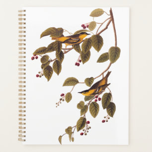 Agenda Pássaro Audubon de Warbler Carbonado