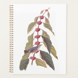 Agenda Pássaro Canino Verde Azul de Audubon