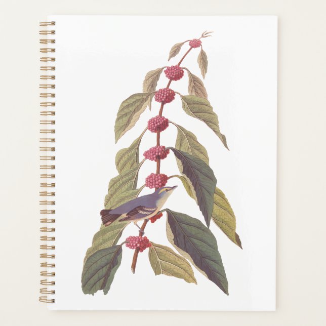 Agenda Pássaro Canino Verde Azul de Audubon (Frente)