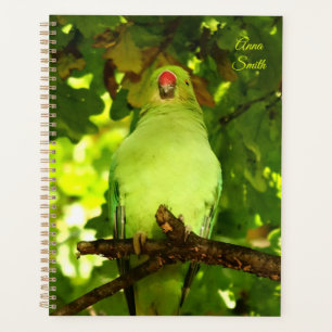 Agenda Pássaro de Papagaio Verde